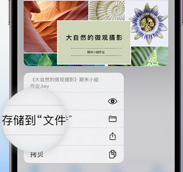 厦门apple维修中心分享iPhone文件应用中存储和找到下载文件