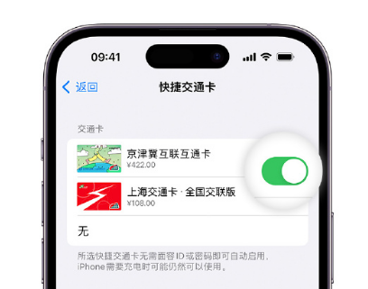 厦门apple维修点分享iPhone上更换Apple Pay快捷交通卡手绘卡面 