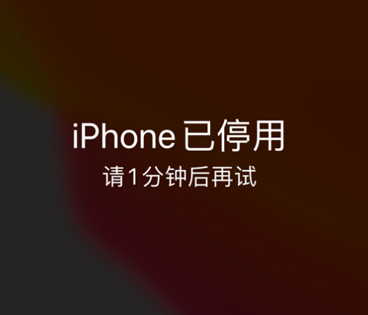 厦门苹果手机维修分享:iPhone 显示“不可用”或“已停用”怎么办？还能保留数据吗？ 