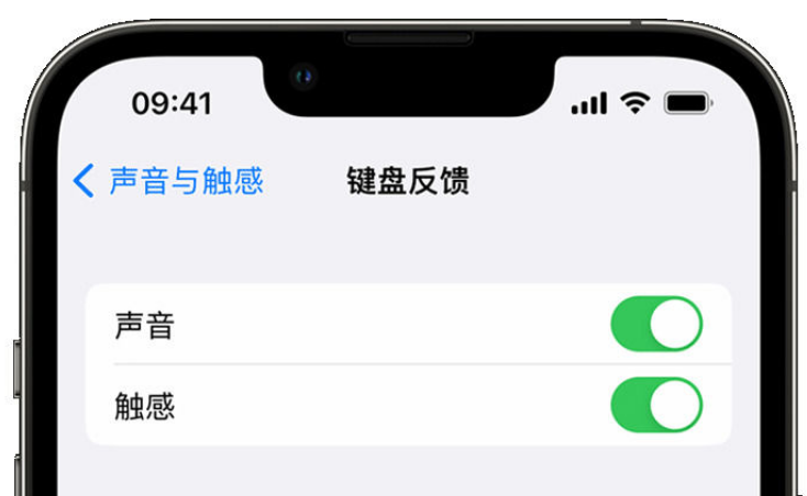 厦门苹果手机维修分享iPhone 14触感键盘使用方法 