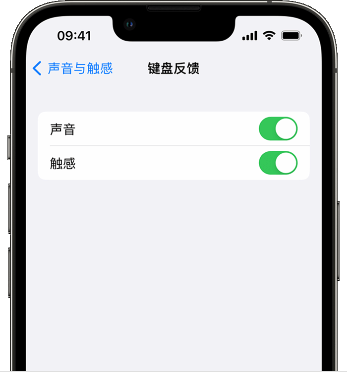 厦门苹果14维修店分享如何在 iPhone 14 机型中使用触感键盘 