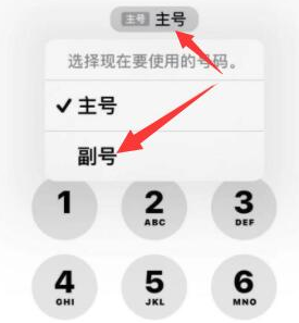 厦门苹果14维修店分享iPhone 14 Pro Max使用副卡打电话的方法 