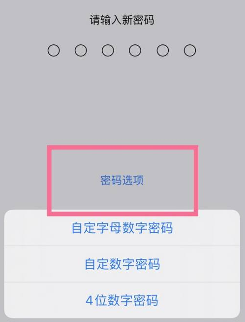 厦门苹果14维修分享iPhone 14plus设置密码的方法 