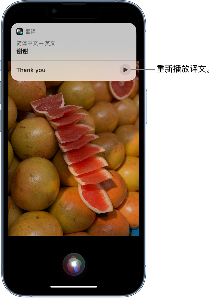 厦门苹果14维修分享 iPhone 14 机型中使用 Siri：了解 Siri 能帮你做什么 