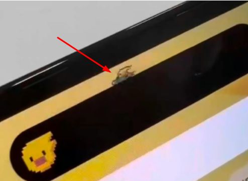 厦门苹果14维修分享iPhone 14 Pro Max灵动岛怎么养宠物 