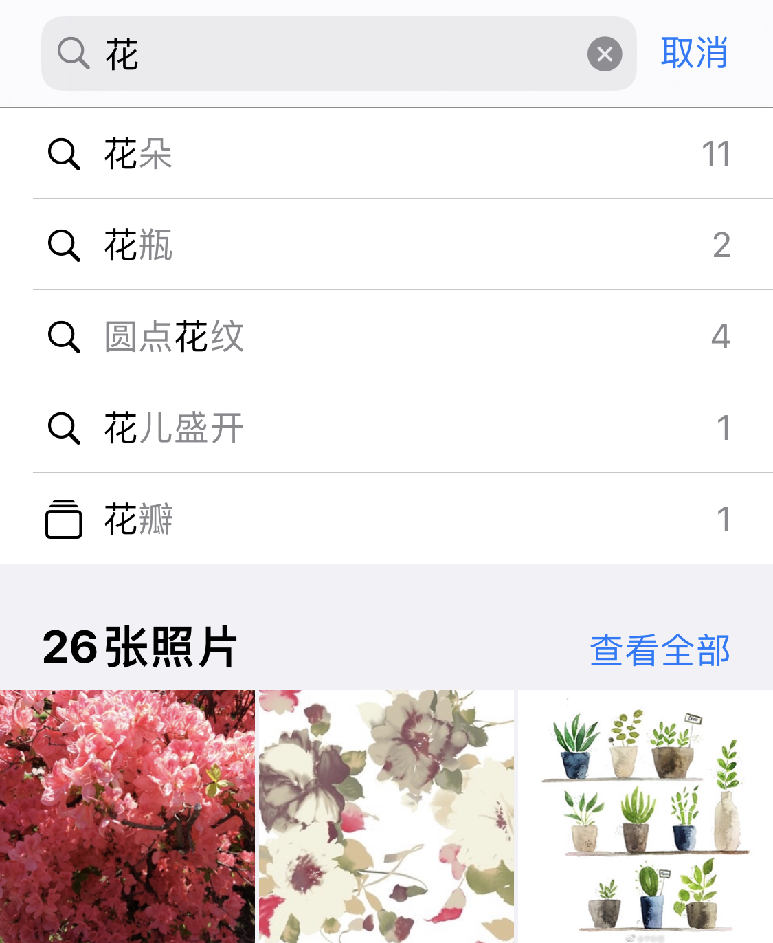 厦门苹果手机维修分享iPhone 小技巧 